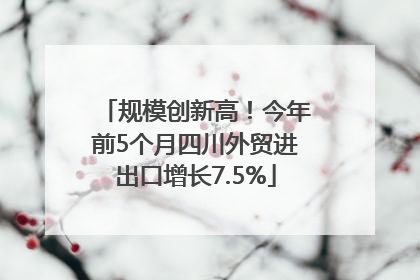 规模创新高！今年前5个月四川外贸进出口增长7.5%